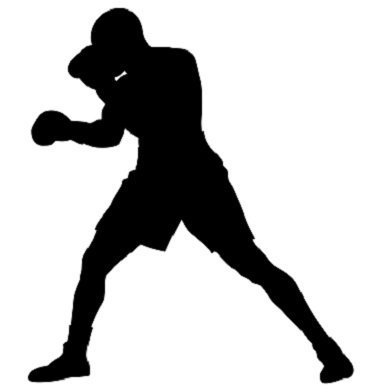 Professional Boxers or Boxers For Business Professional Boxers or Boxers For Business